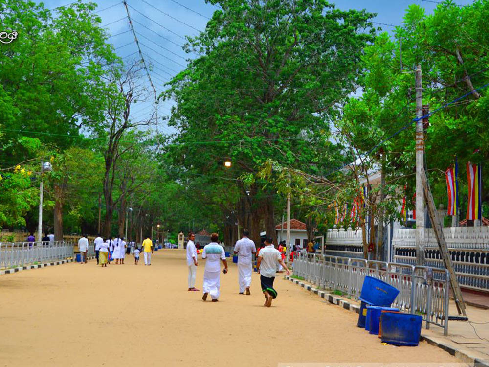 kks-to-kataragama